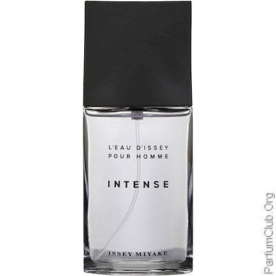 Issey Miyake L'eau d'Issey pour homme Intense